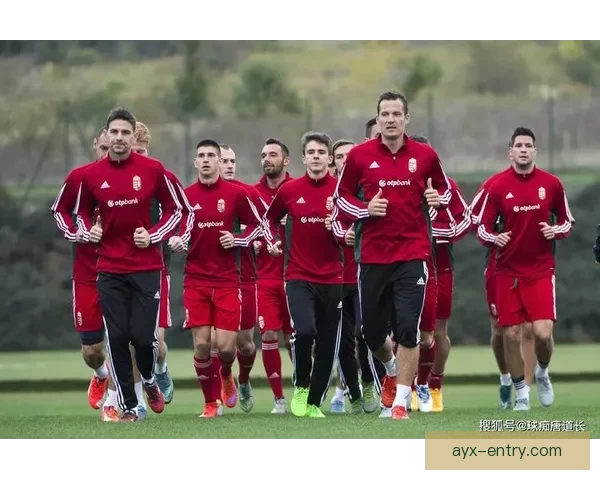 九州体育最新足球比分实时更新全面赛事数据分析